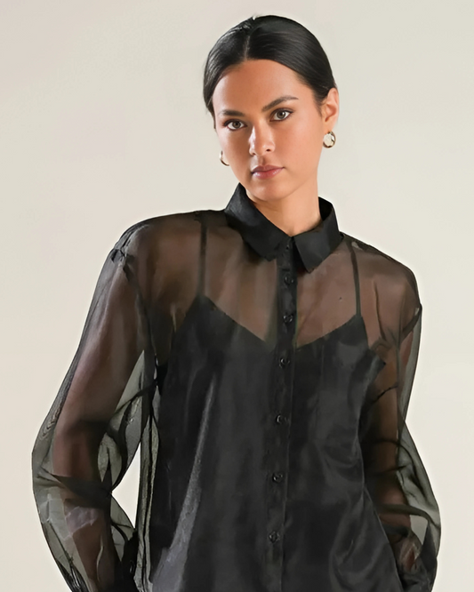 Sheer Button-Down Top